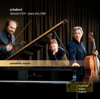 Schubert: Fantasie for violin and piano, Piano Trio Impromptu